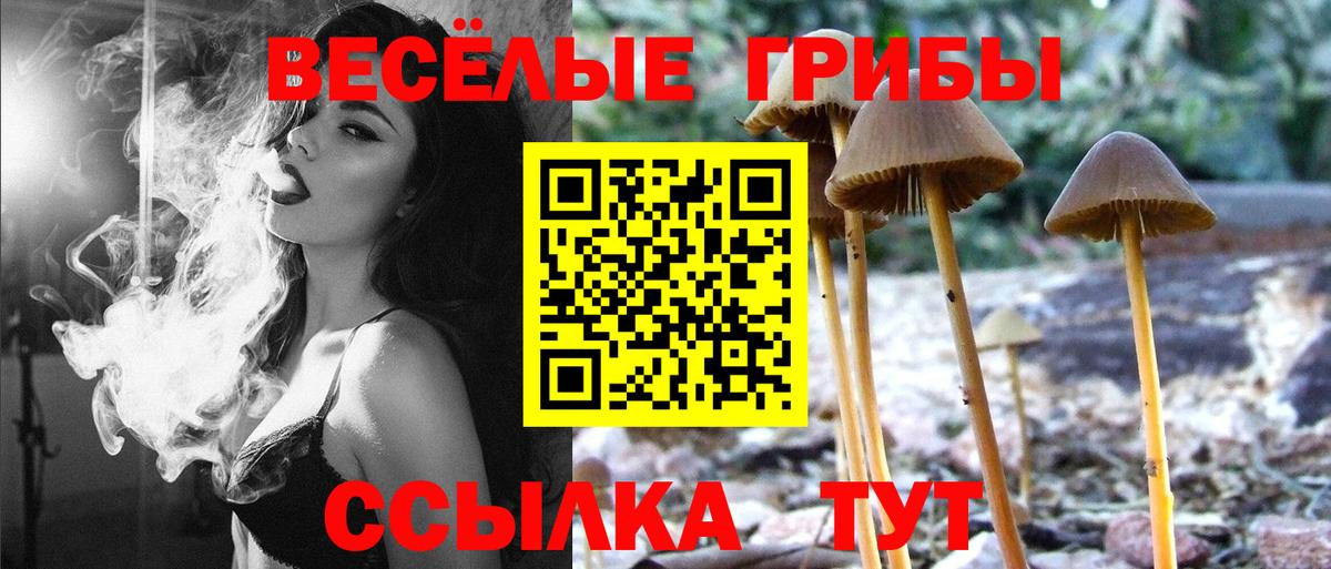 Галлюциногенные грибы мухоморы  Псилоцибиновые грибы Magic Shrooms  Кизляр  наркотики  Вход с VPN 